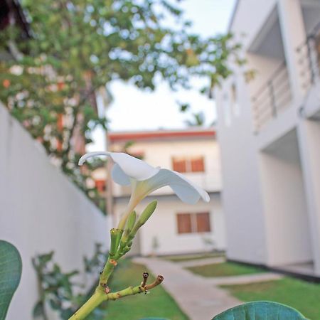 The Anchorage Holiday Apartments - Negombo Exterior foto
